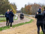 BP011124-67 - Ben Pauling Stable Visit